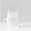 Milch
